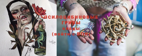 прущая мука Абаза